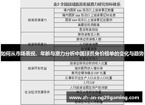 如何从市场表现、年龄与潜力分析中国球员身价榜单的变化与趋势