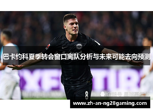 巴卡约科夏季转会窗口离队分析与未来可能去向预测