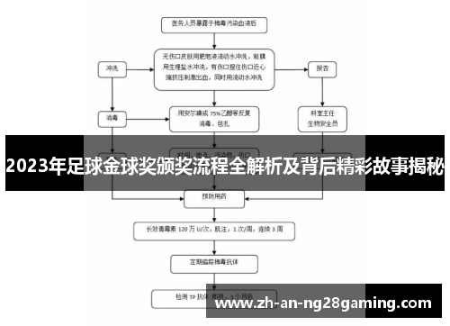 2023年足球金球奖颁奖流程全解析及背后精彩故事揭秘