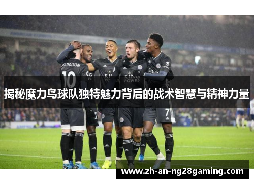 揭秘魔力鸟球队独特魅力背后的战术智慧与精神力量