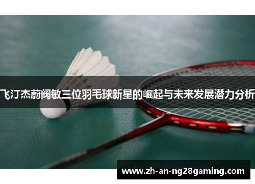 飞汀杰蔚阀敏三位羽毛球新星的崛起与未来发展潜力分析