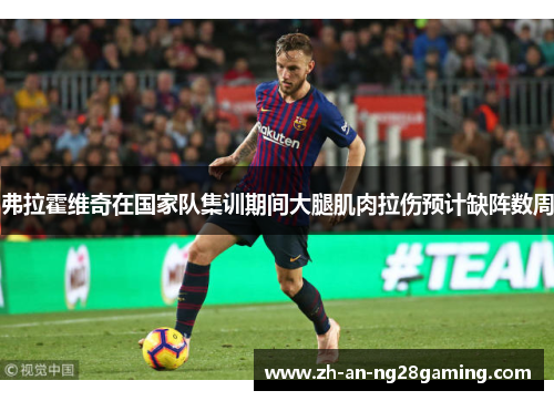 弗拉霍维奇在国家队集训期间大腿肌肉拉伤预计缺阵数周