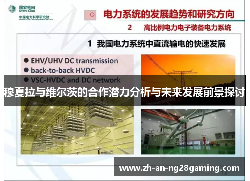 穆夏拉与维尔茨的合作潜力分析与未来发展前景探讨