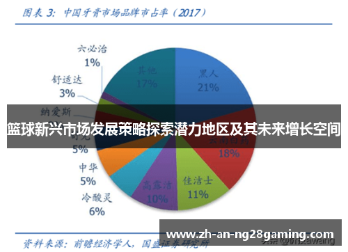 篮球新兴市场发展策略探索潜力地区及其未来增长空间 篮球新兴市场发展策略探索潜力地区及其未来增长空间