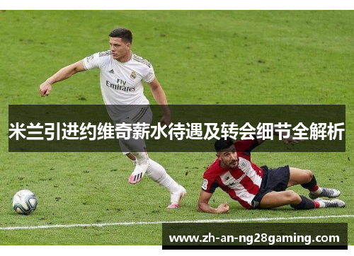 米兰引进约维奇薪水待遇及转会细节全解析