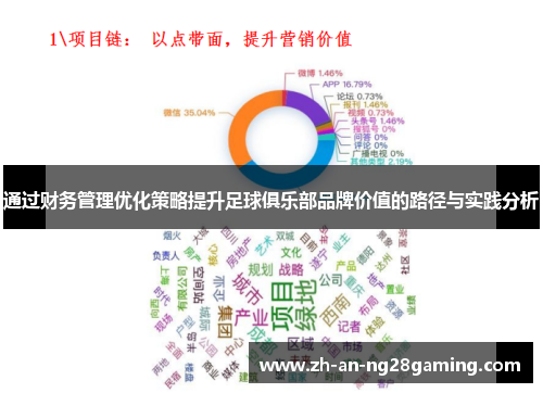 通过财务管理优化策略提升足球俱乐部品牌价值的路径与实践分析