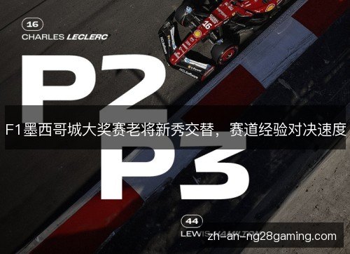 F1墨西哥城大奖赛老将新秀交替,赛道经验对决速度 F1墨西哥城大奖赛老将新秀交替,赛道经验对决速度